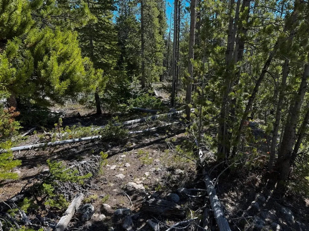 970 Lower Clear Creek Trail Anaconda MT 59711