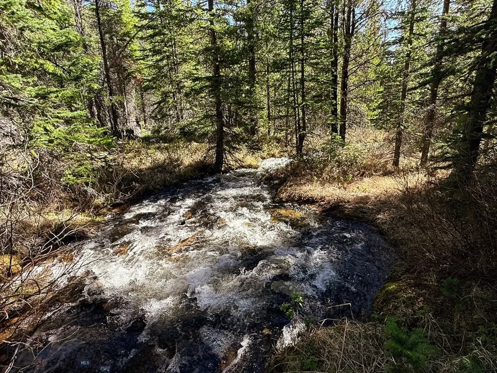970 Lower Clear Creek Trail Anaconda MT 59711