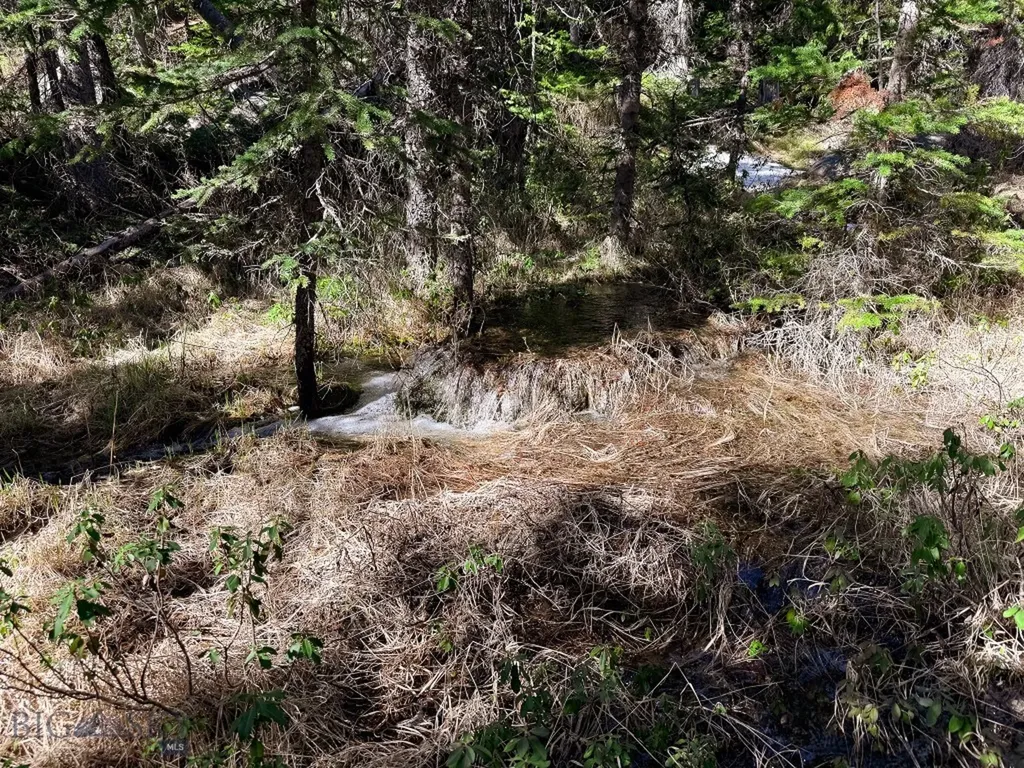 970 Lower Clear Creek Trail Anaconda MT 59711