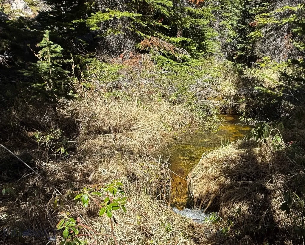 970 Lower Clear Creek Trail Anaconda MT 59711