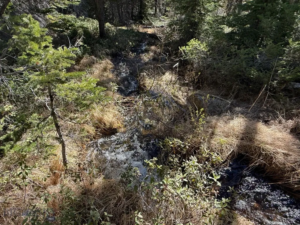 970 Lower Clear Creek Trail Anaconda MT 59711
