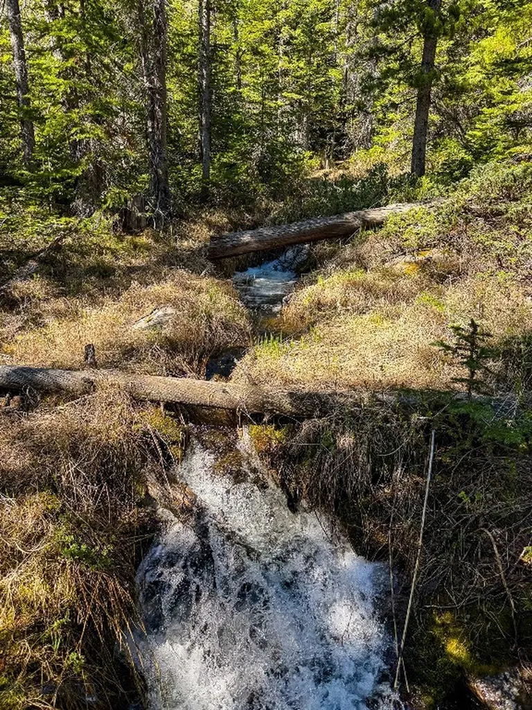 970 Lower Clear Creek Trail Anaconda MT 59711