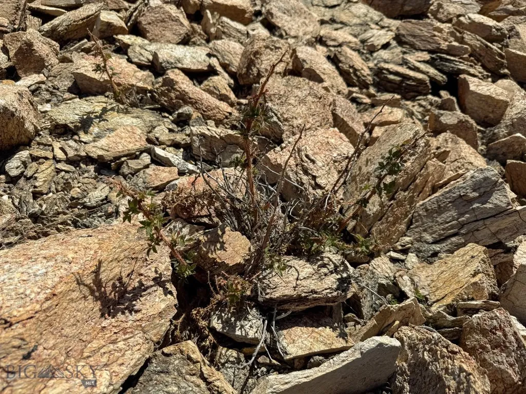 970 Lower Clear Creek Trail Anaconda MT 59711