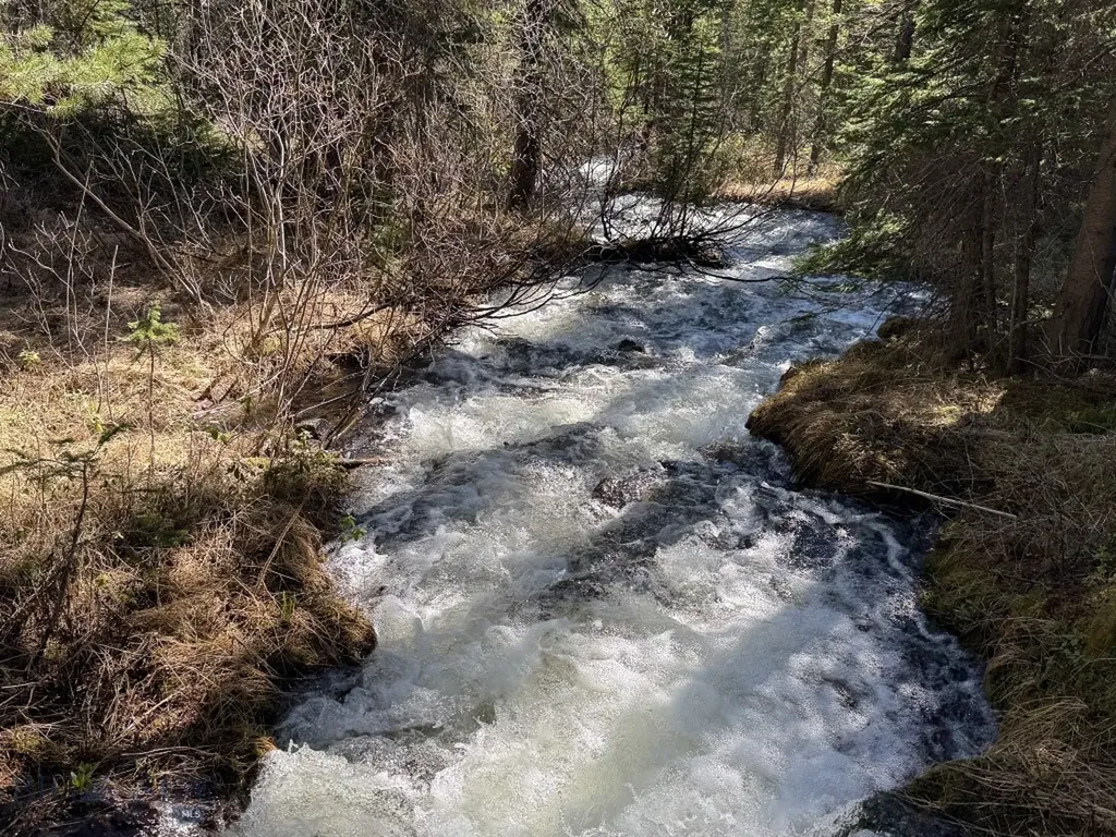 970 Lower Clear Creek Trail Anaconda MT 59711