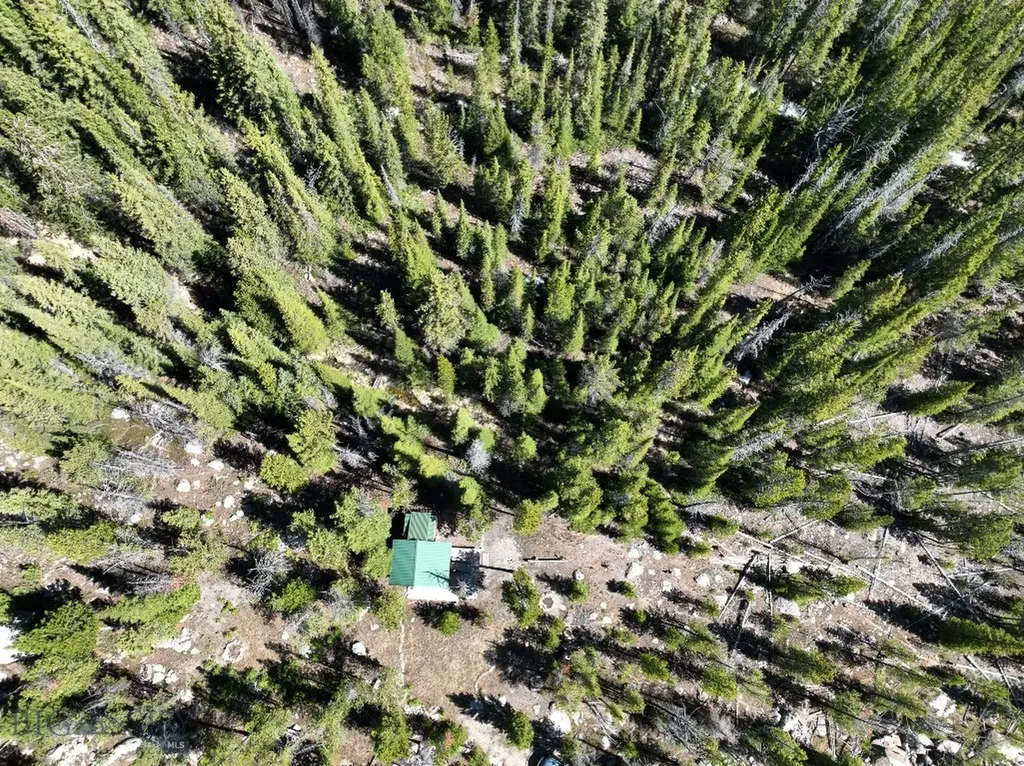 970 Lower Clear Creek Trail Anaconda MT 59711