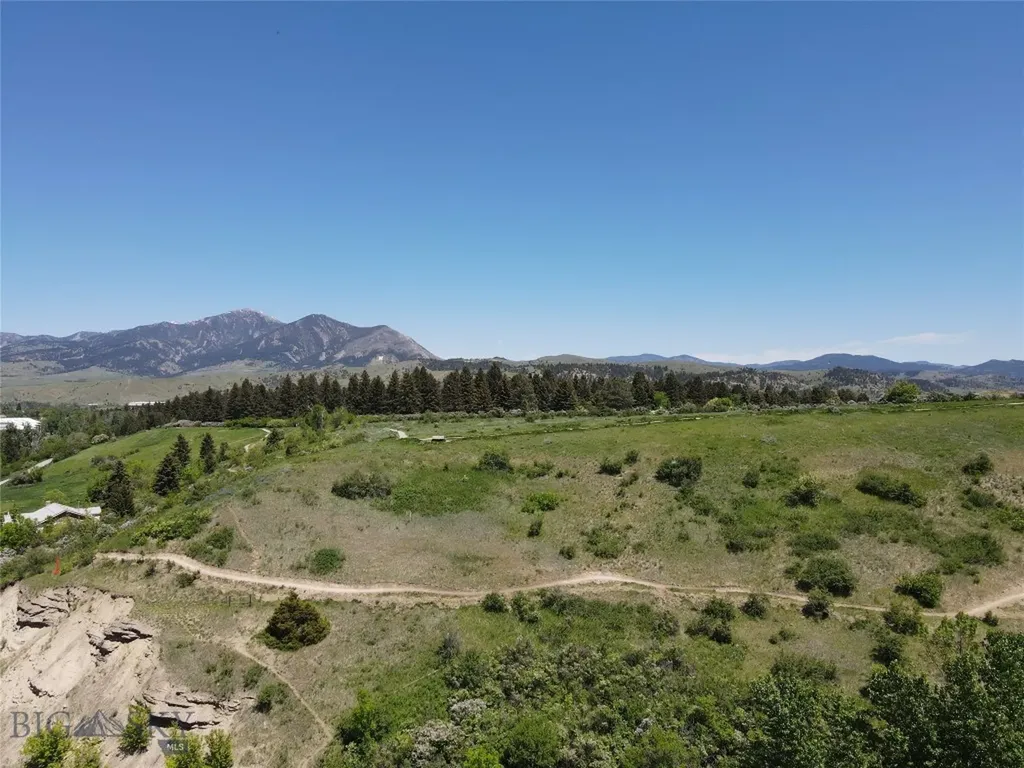 719 S Church Avenue Bozeman MT 59715