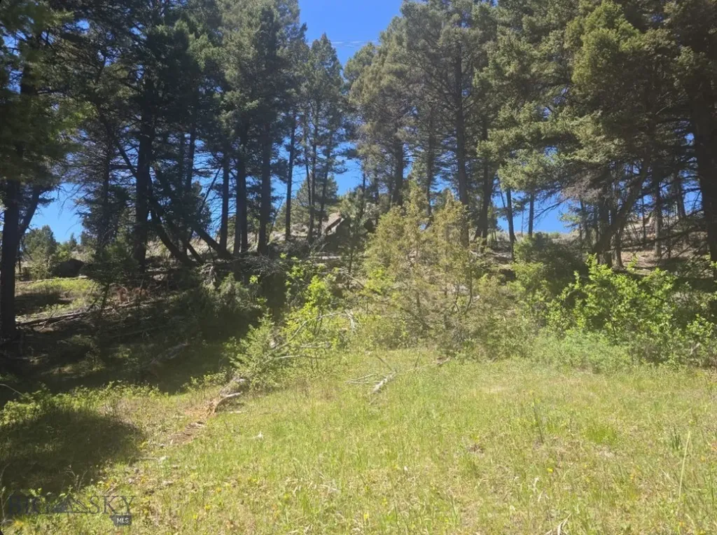 Tbd Powerline Road Boulder MT 59632