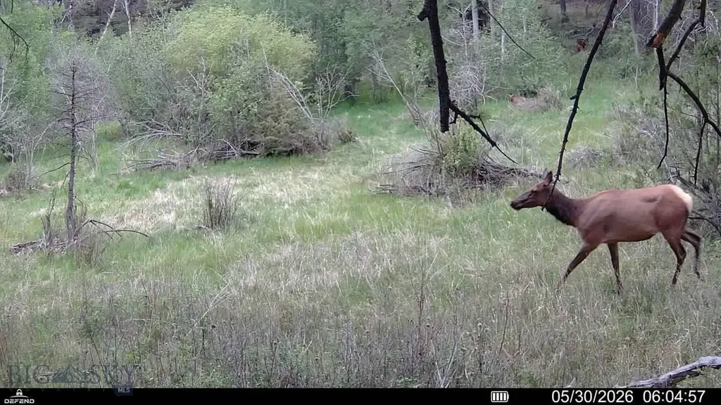 Tbd Powerline Road Boulder MT 59632