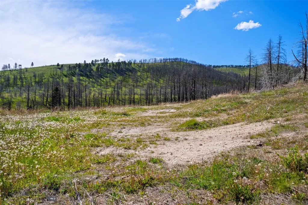 2010 Us Highway 12 E Townsend MT 59644