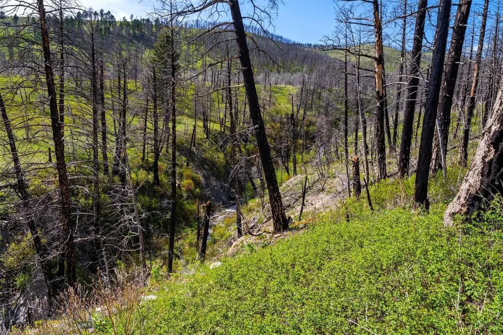 2010 Us Highway 12 E Townsend MT 59644