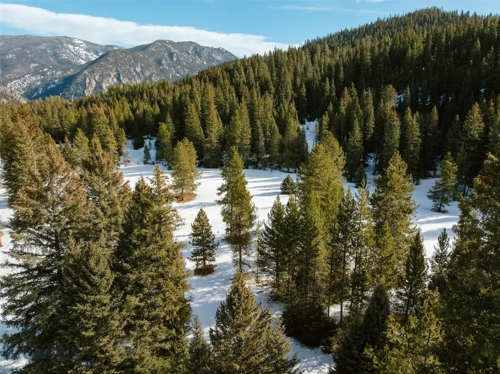 252 Vogel Road Big Sky MT 59716