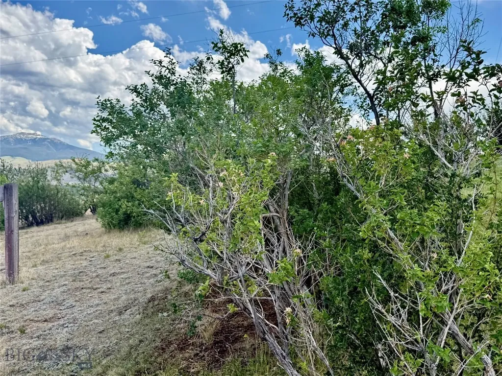 959 Mt Highway 55 Whitehall MT 59759