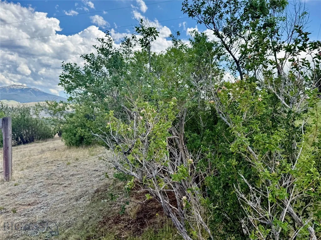 959 Mt Highway 55 Whitehall MT 59759
