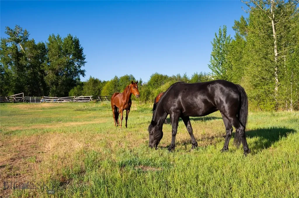 200 Pony Road Harrison MT 59735
