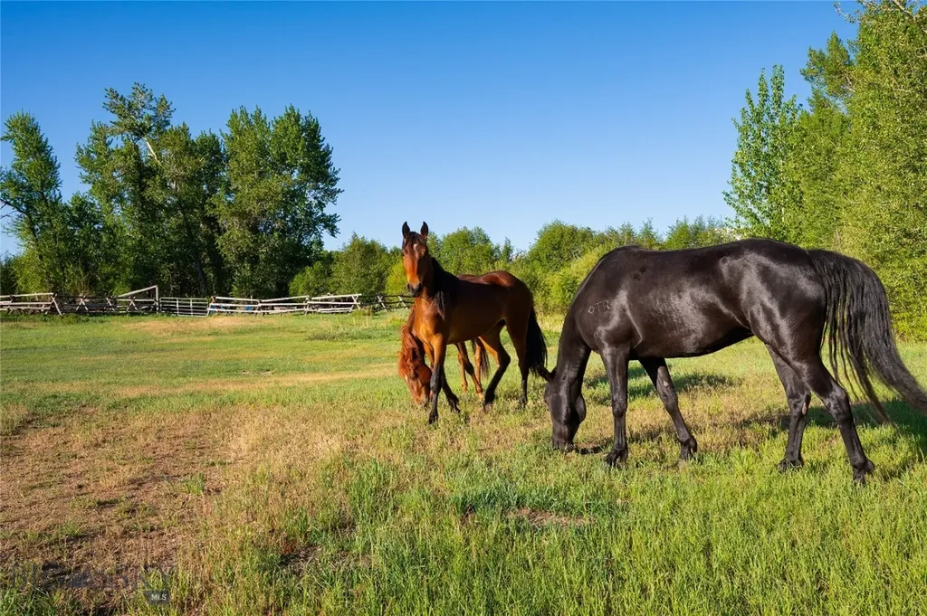 200 Pony Road Harrison MT 59735