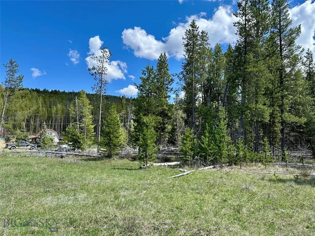 Lot 47 Lodgepole Lane W Anaconda MT 59711