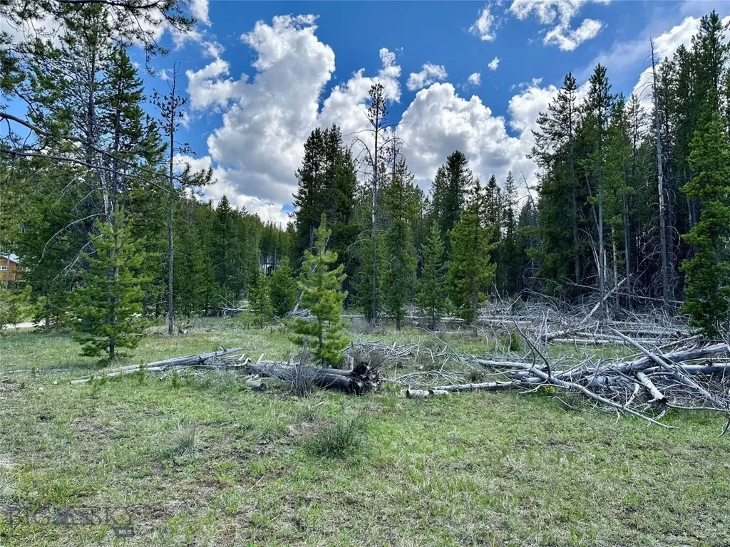 Lot 47 Lodgepole Lane W Anaconda MT 59711