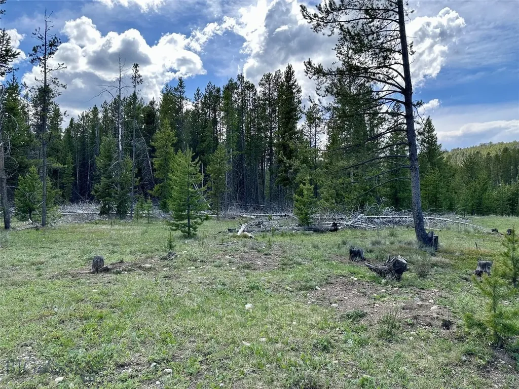 Lot 47 Lodgepole Lane W Anaconda MT 59711