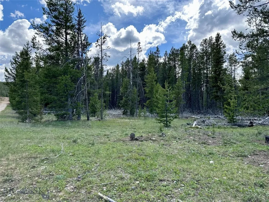 Lot 47 Lodgepole Lane W Anaconda MT 59711