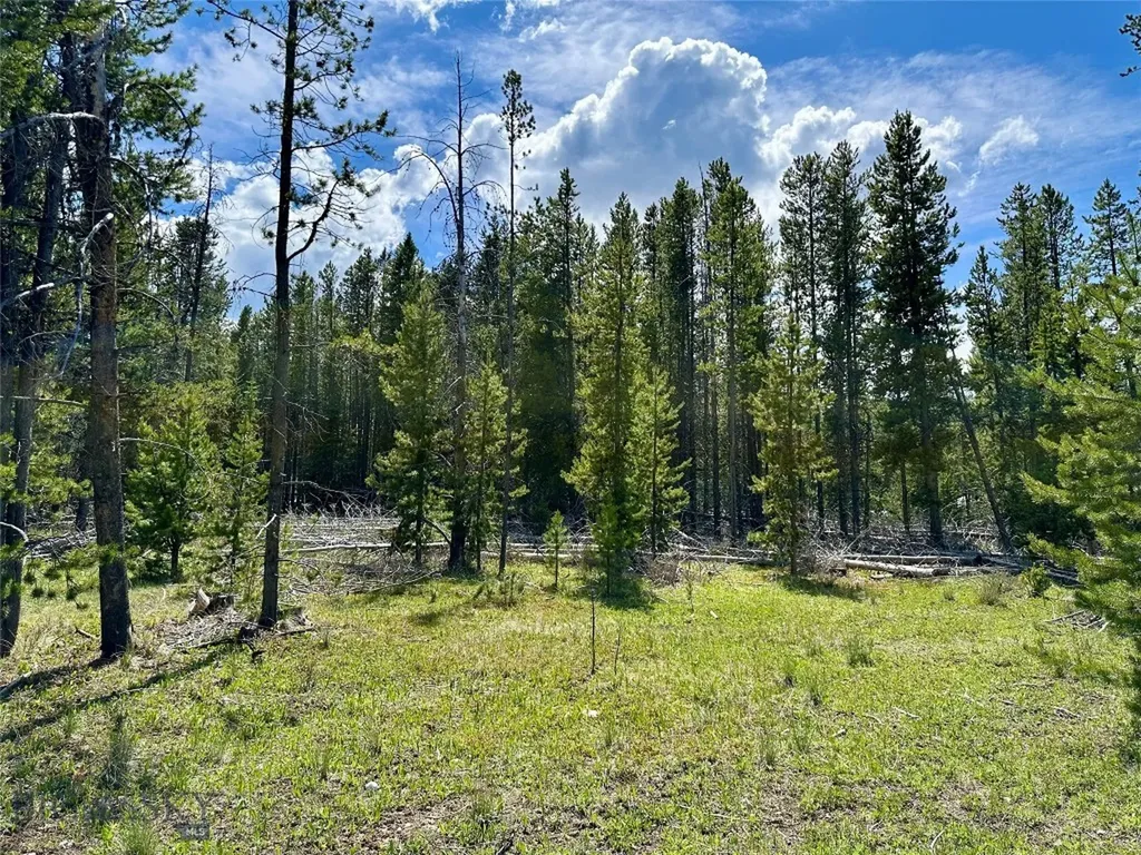 Lot 47 Lodgepole Lane W Anaconda MT 59711