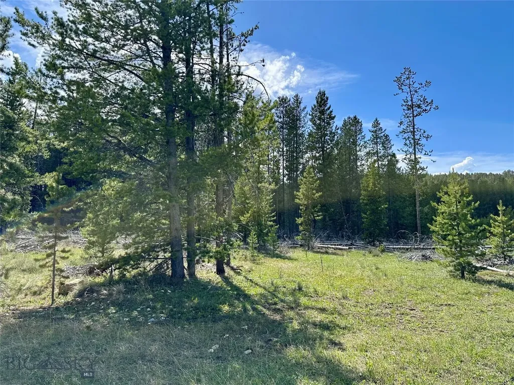 Lot 47 Lodgepole Lane W Anaconda MT 59711