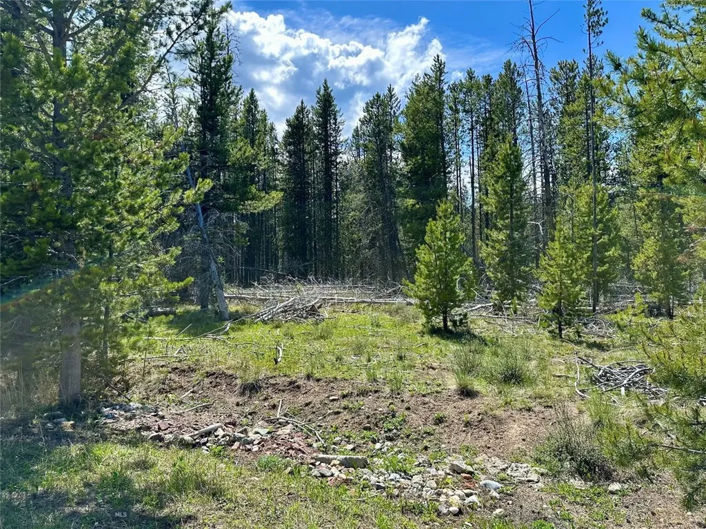 Lot 47 Lodgepole Lane W Anaconda MT 59711