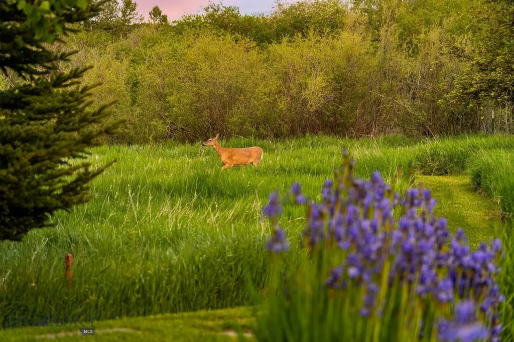 100 Farm View Lane Bozeman MT 59715