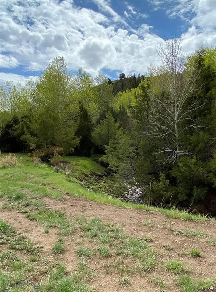 8950 Chevallier Drive Helena MT 59602