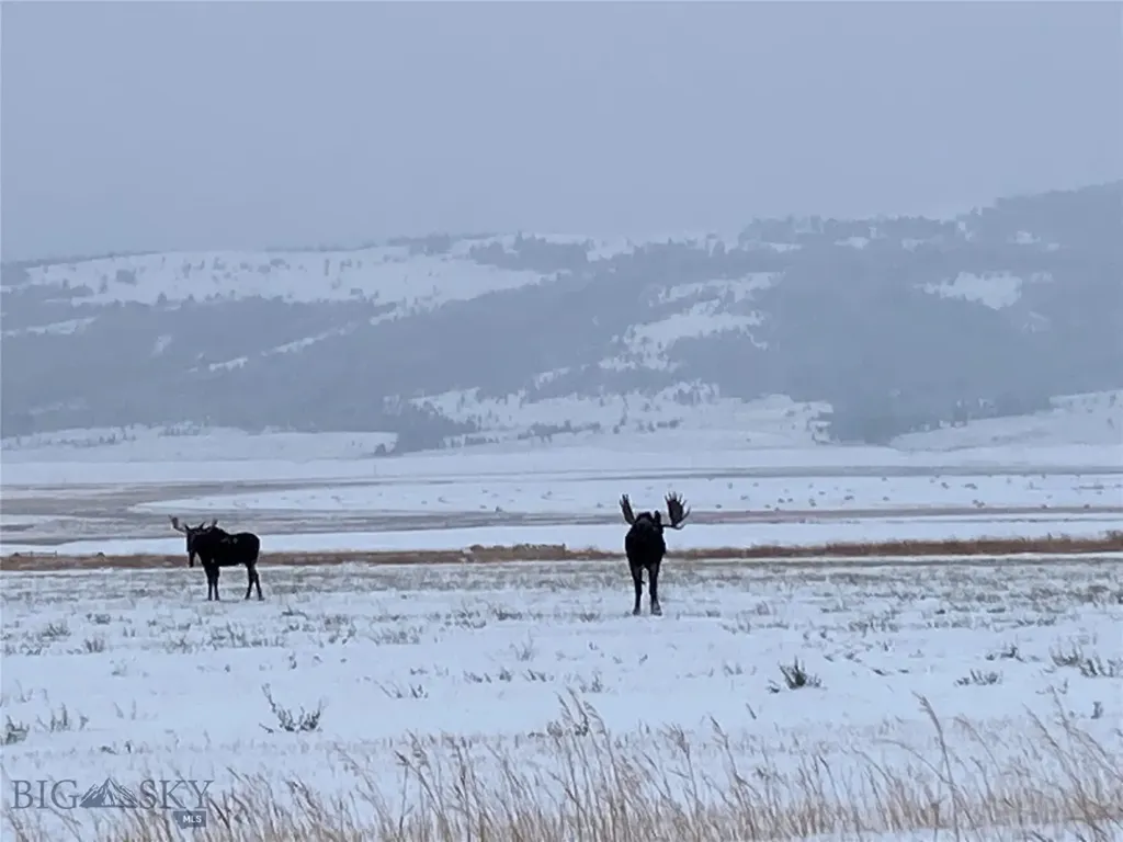 8950 Chevallier Drive Helena MT 59602