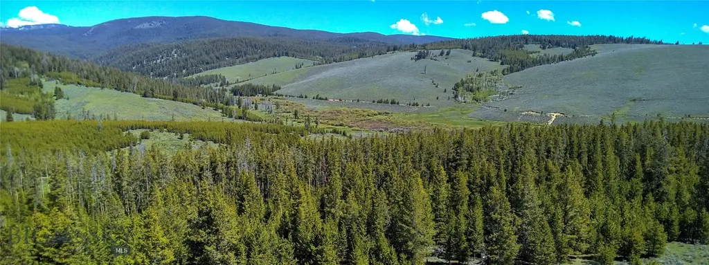 6800 Mussigbrod Lake Road Wisdom MT 59761