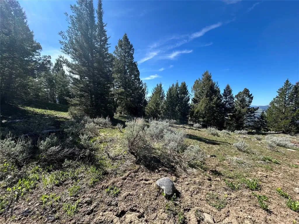 384 Crevice Road Jardine MT 59030