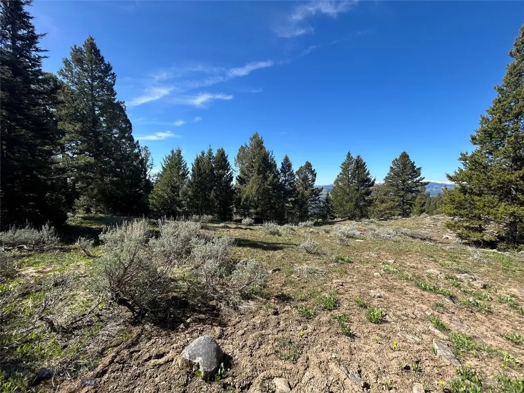 384 Crevice Road Jardine MT 59030