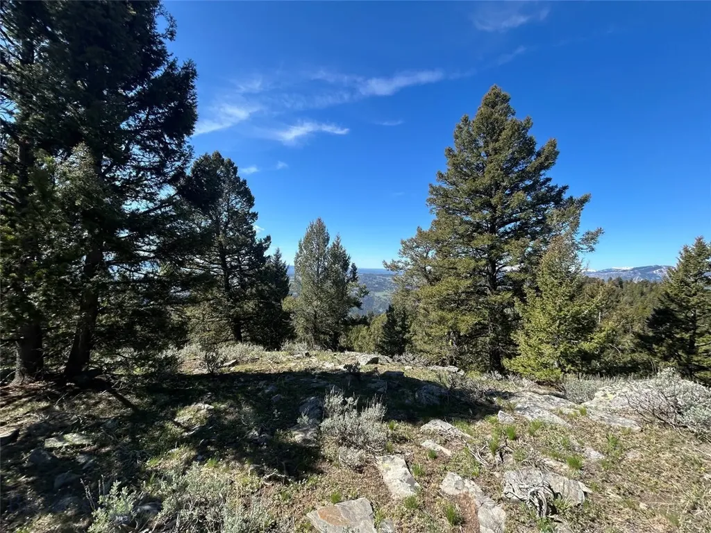 384 Crevice Road Jardine MT 59030