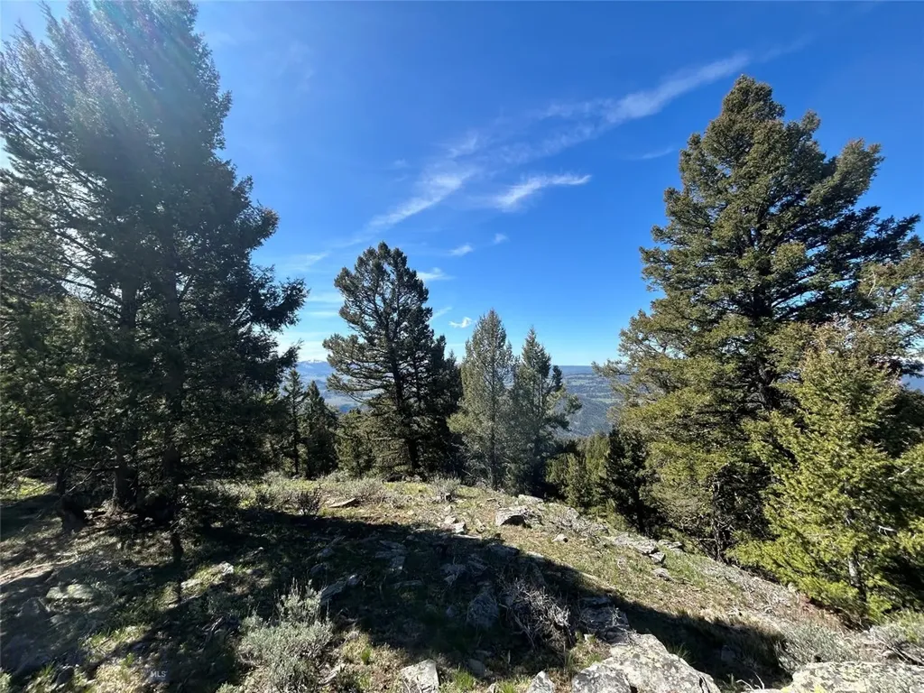 384 Crevice Road Jardine MT 59030