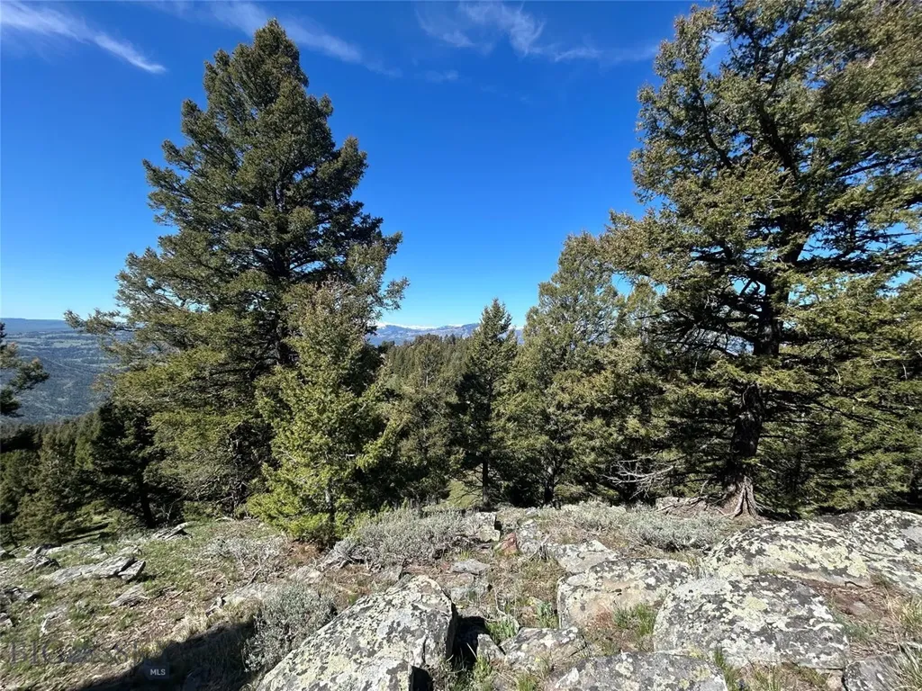 384 Crevice Road Jardine MT 59030
