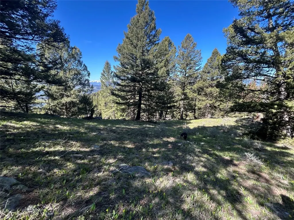 384 Crevice Road Jardine MT 59030