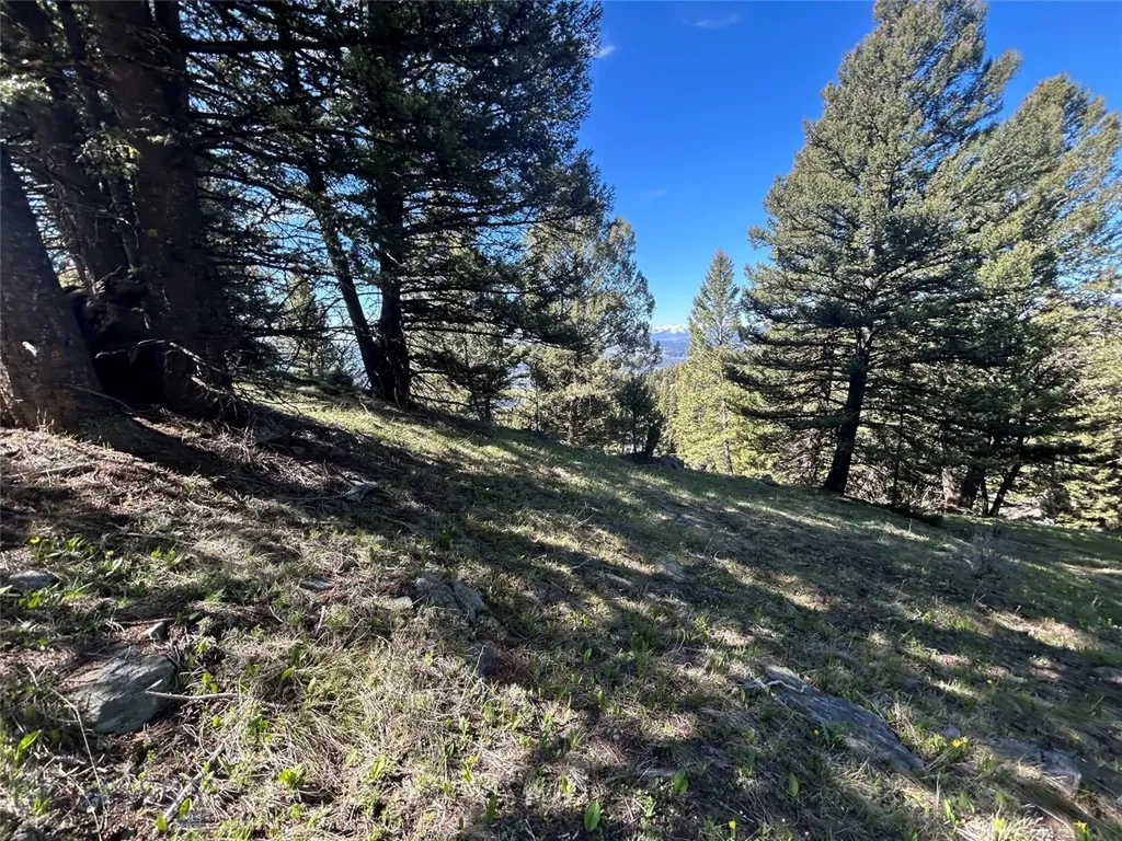 384 Crevice Road Jardine MT 59030