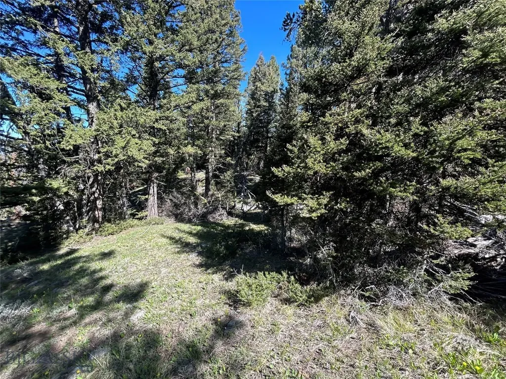 384 Crevice Road Jardine MT 59030
