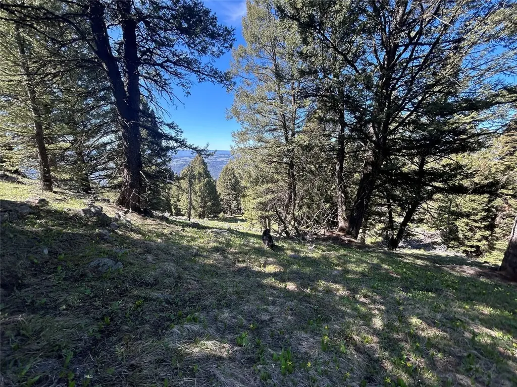 384 Crevice Road Jardine MT 59030