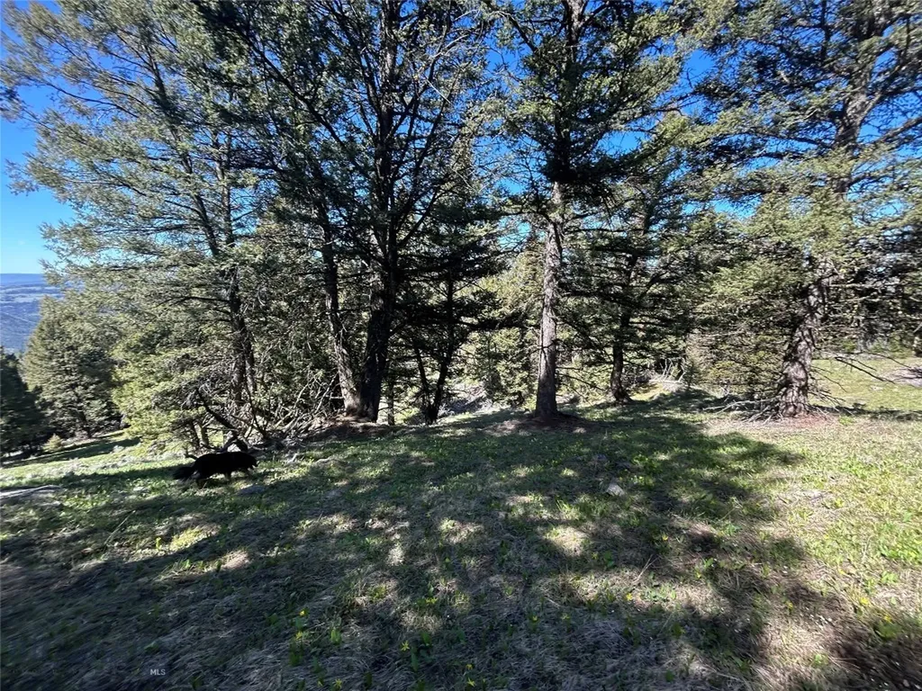 384 Crevice Road Jardine MT 59030
