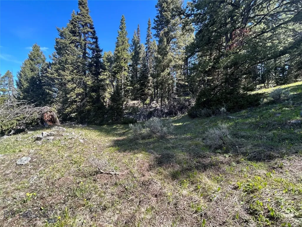 384 Crevice Road Jardine MT 59030