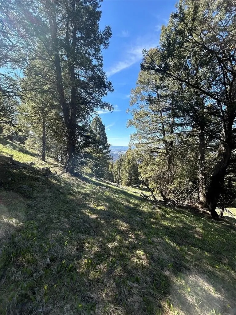384 Crevice Road Jardine MT 59030
