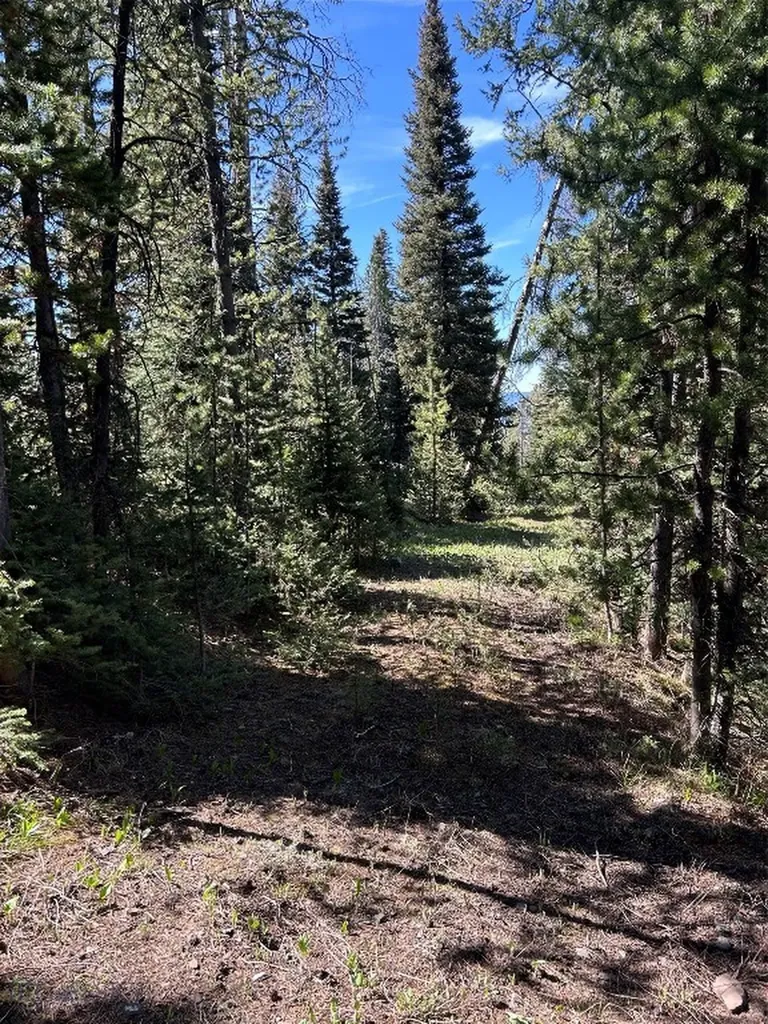 384 Crevice Road Jardine MT 59030