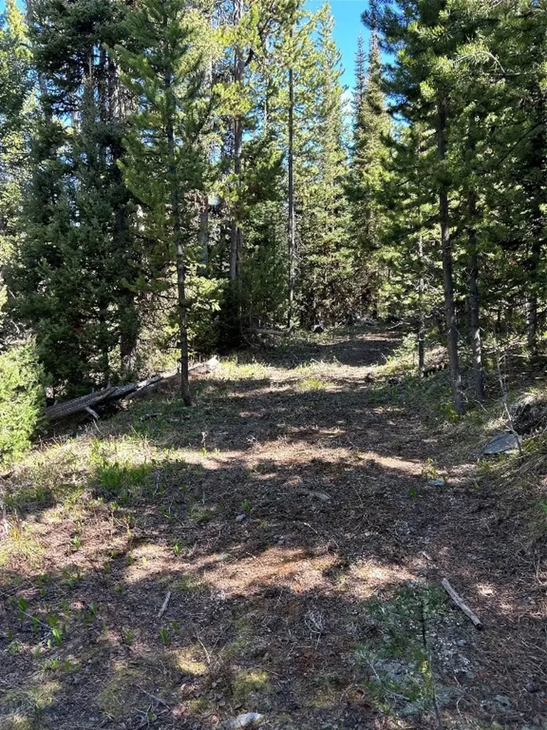 384 Crevice Road Jardine MT 59030