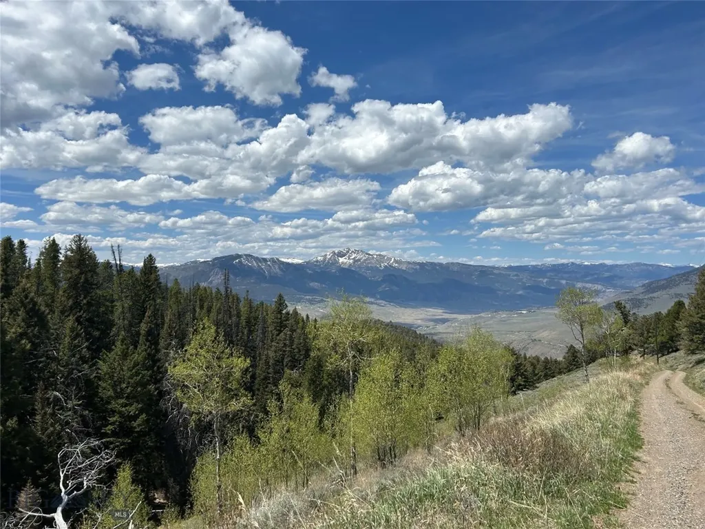 384 Crevice Road Jardine MT 59030