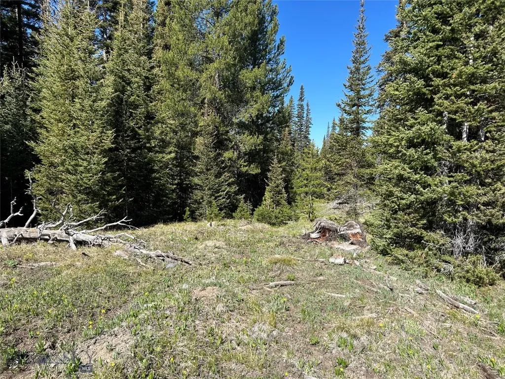 384 Crevice Road Jardine MT 59030