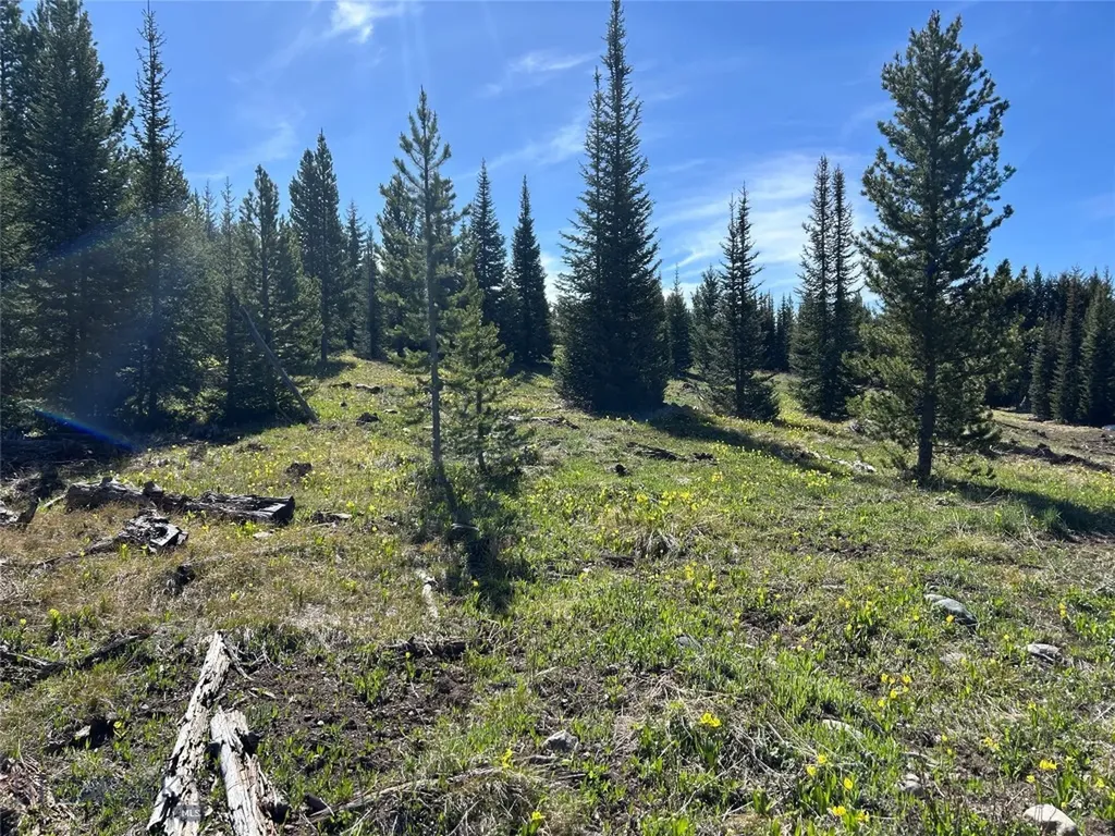 384 Crevice Road Jardine MT 59030