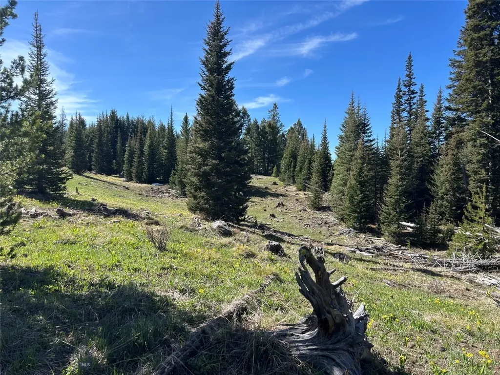 384 Crevice Road Jardine MT 59030