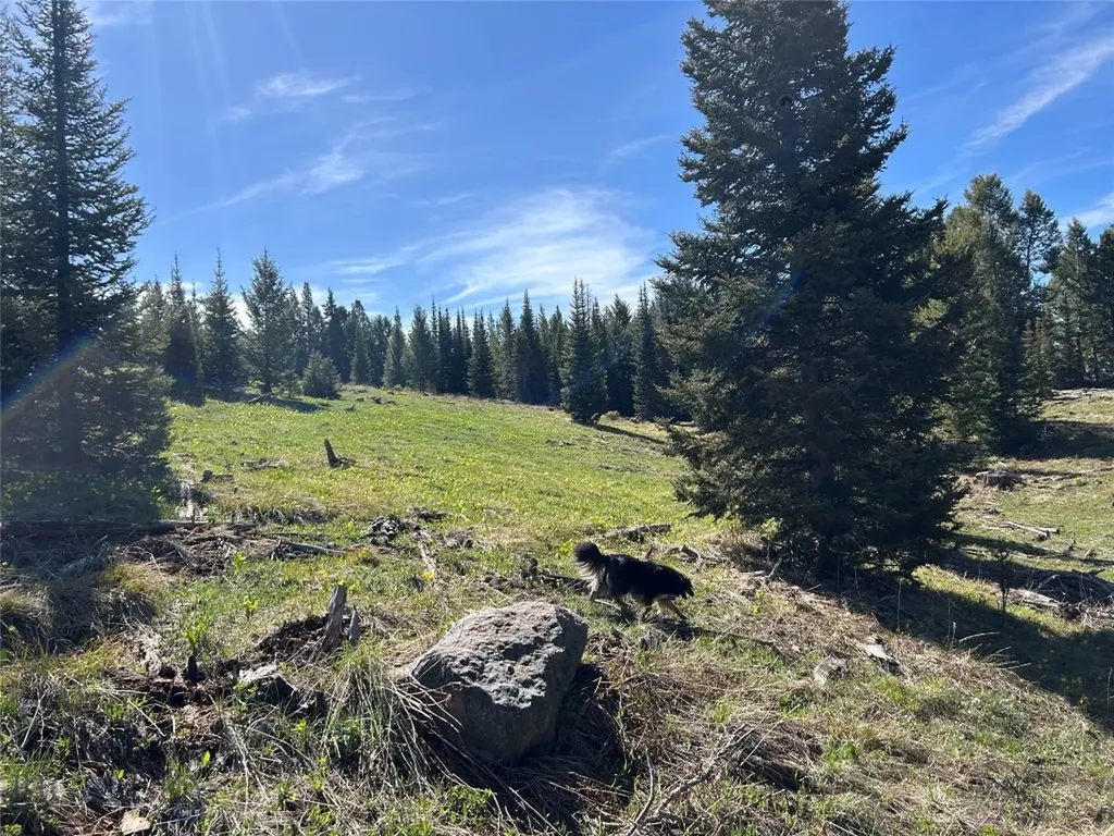 384 Crevice Road Jardine MT 59030