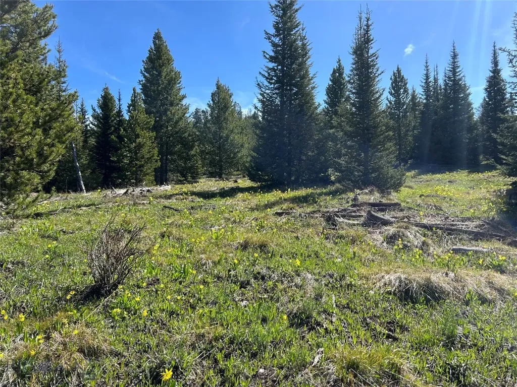 384 Crevice Road Jardine MT 59030